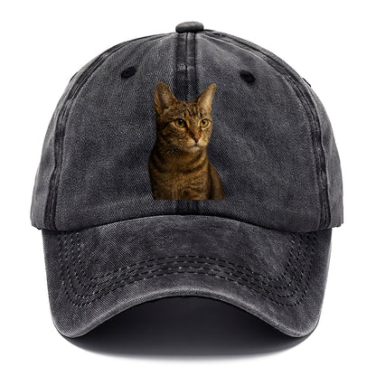 playful-cat-playful-spirit Hat