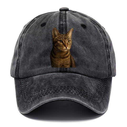 playful-cat-playful-spirit Hat