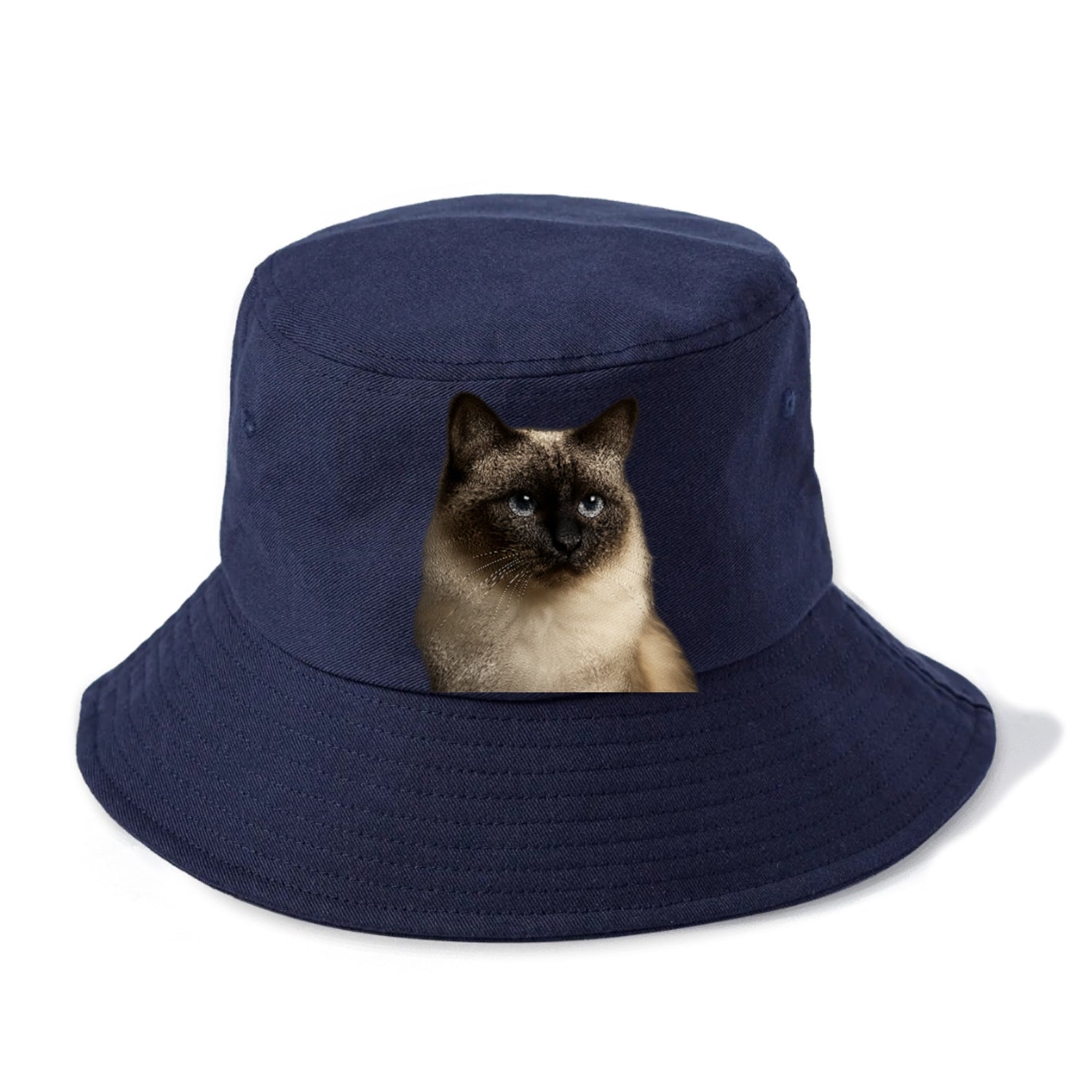 birman-cat-serene-elegance Hat