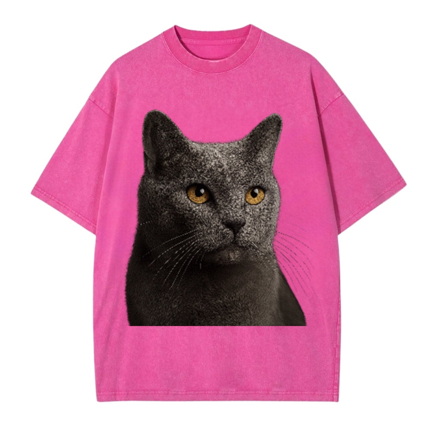 chartreux-quiet-grace Hat