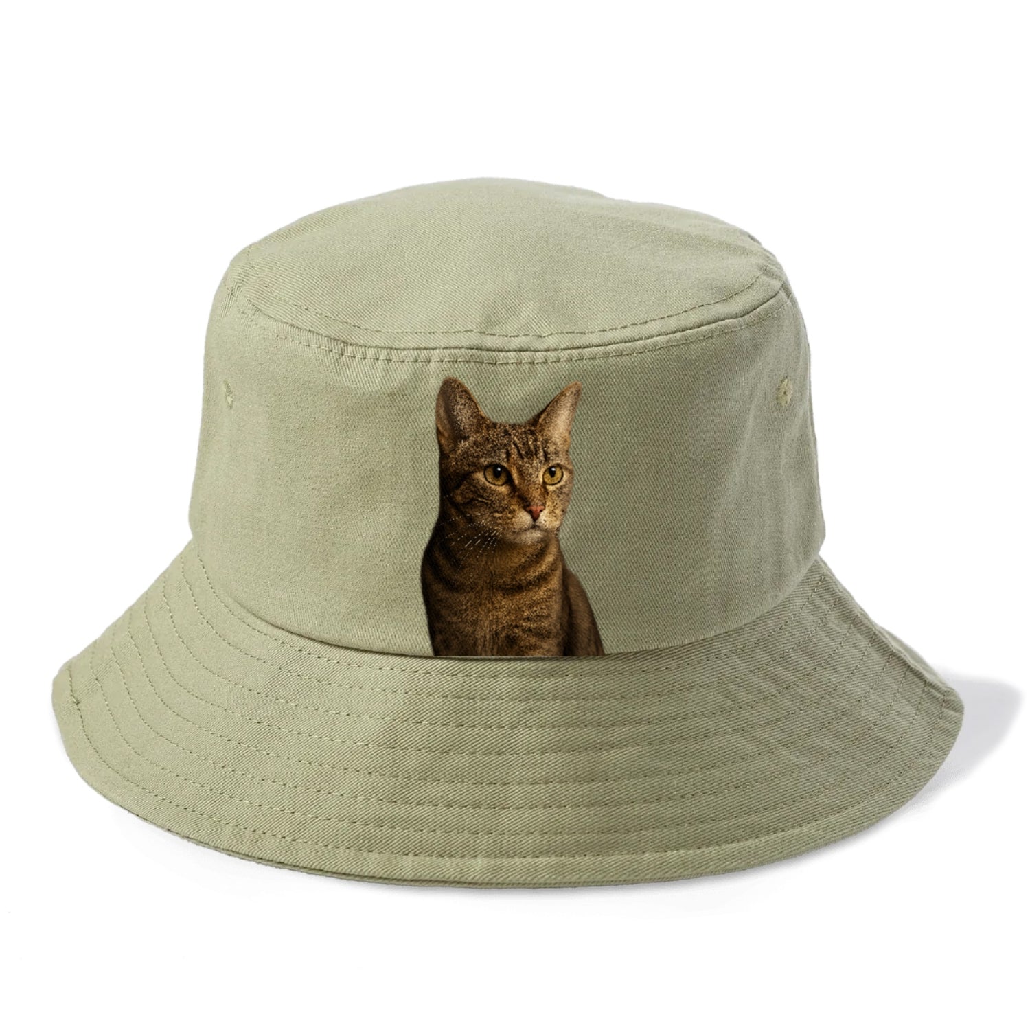 playful-cat-playful-spirit Hat