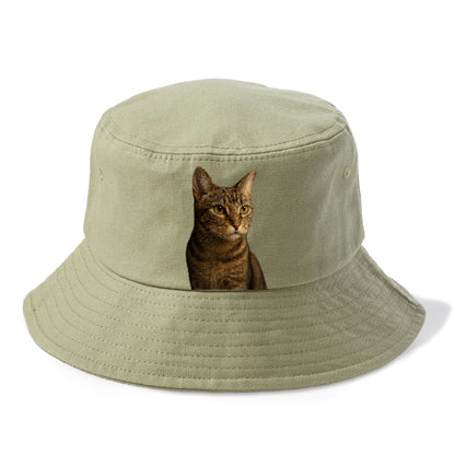 playful-cat-playful-spirit Hat