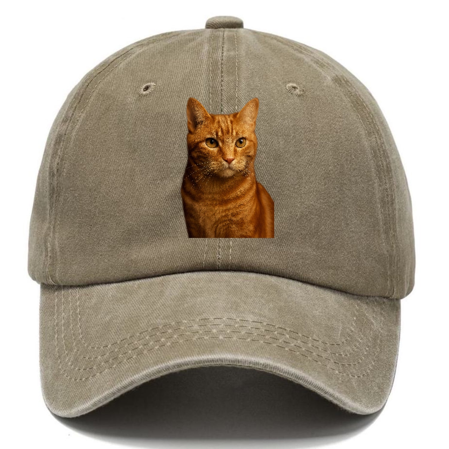 orange-tabby-playful-purr Hat