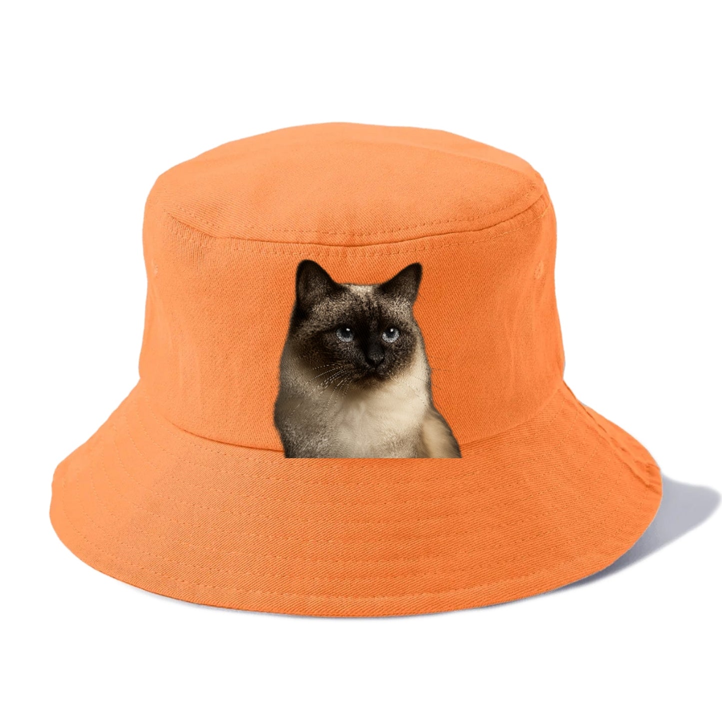 birman-cat-serene-elegance Hat