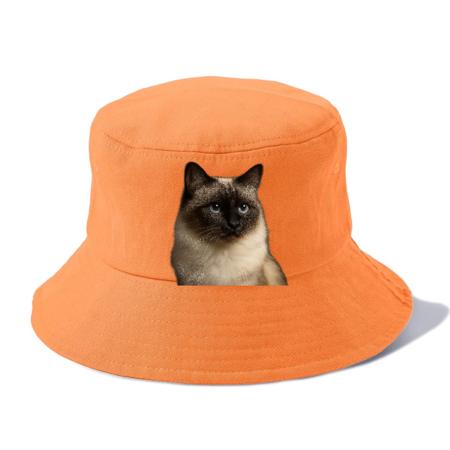 birman-cat-serene-elegance Hat