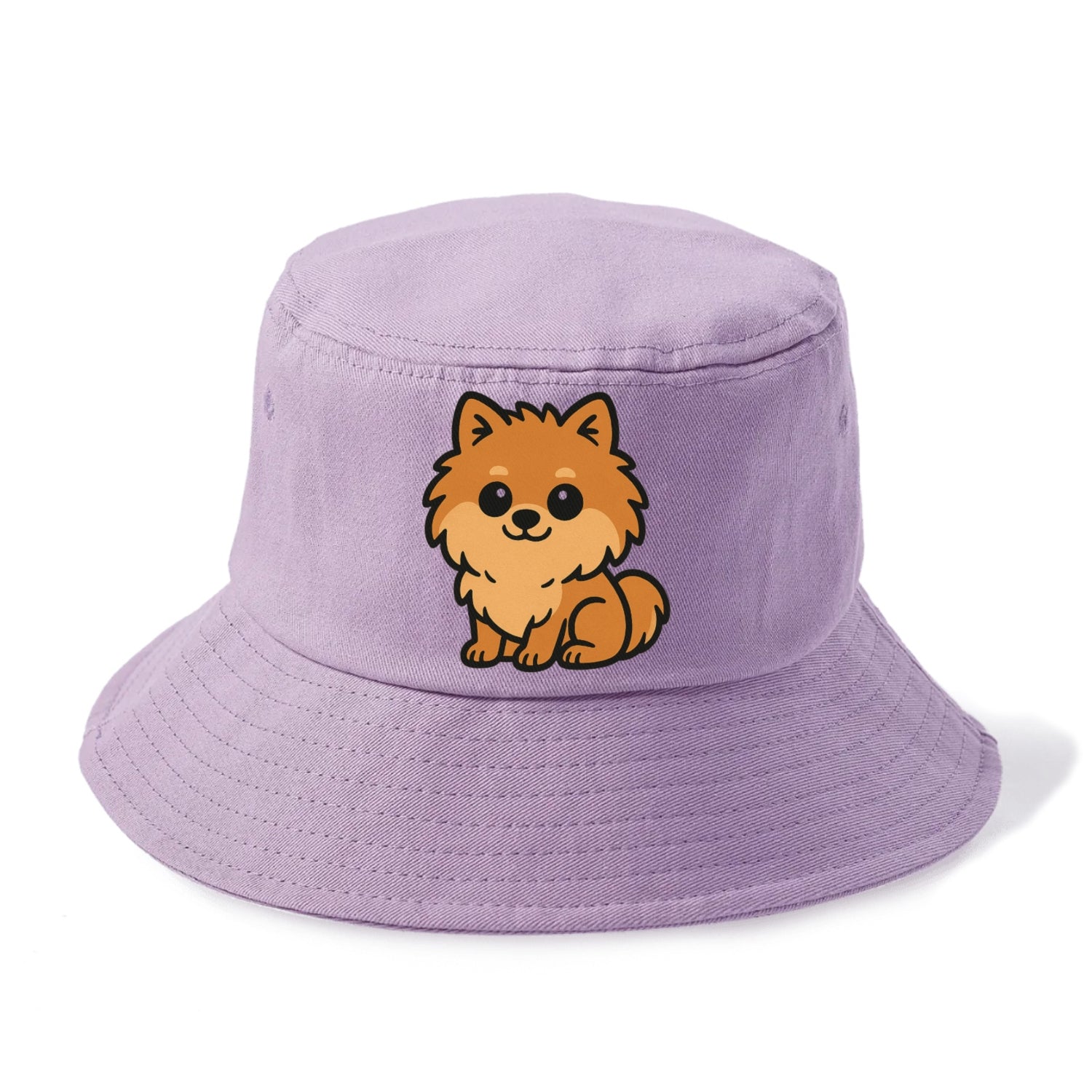 pomeranian orange fluffy sitting pose portrait design Hat