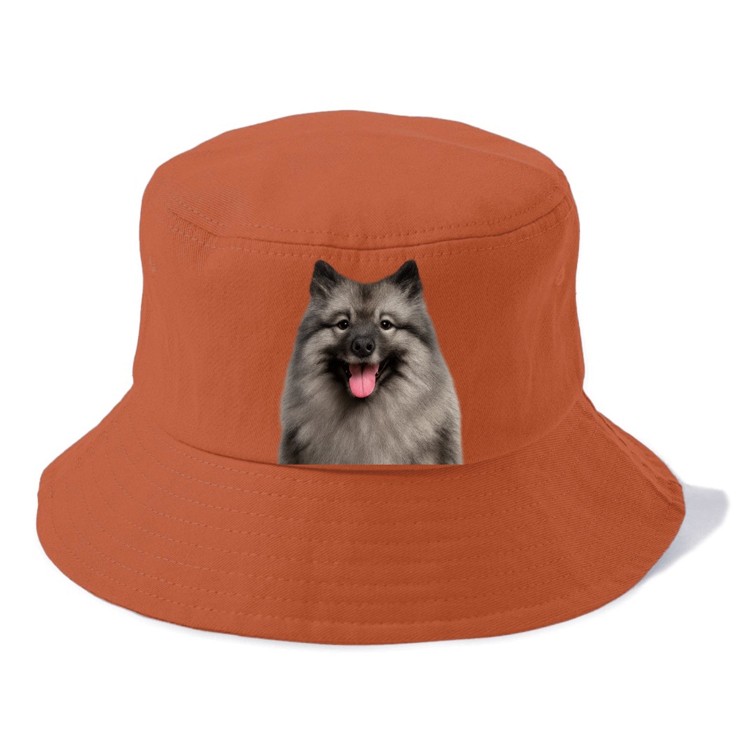keeshond: silver fox spirit Hat