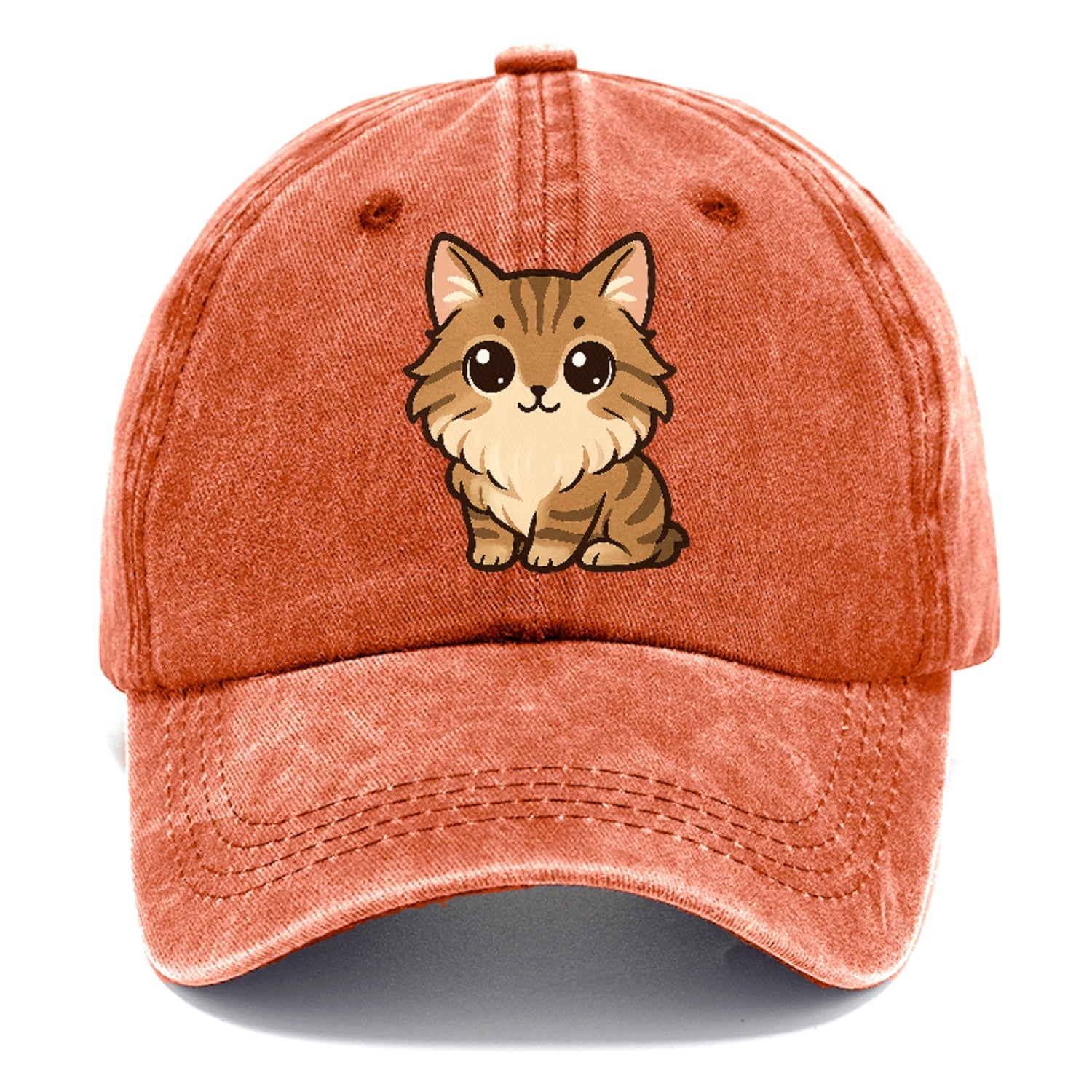 maine-coon-gentle-giant Hat