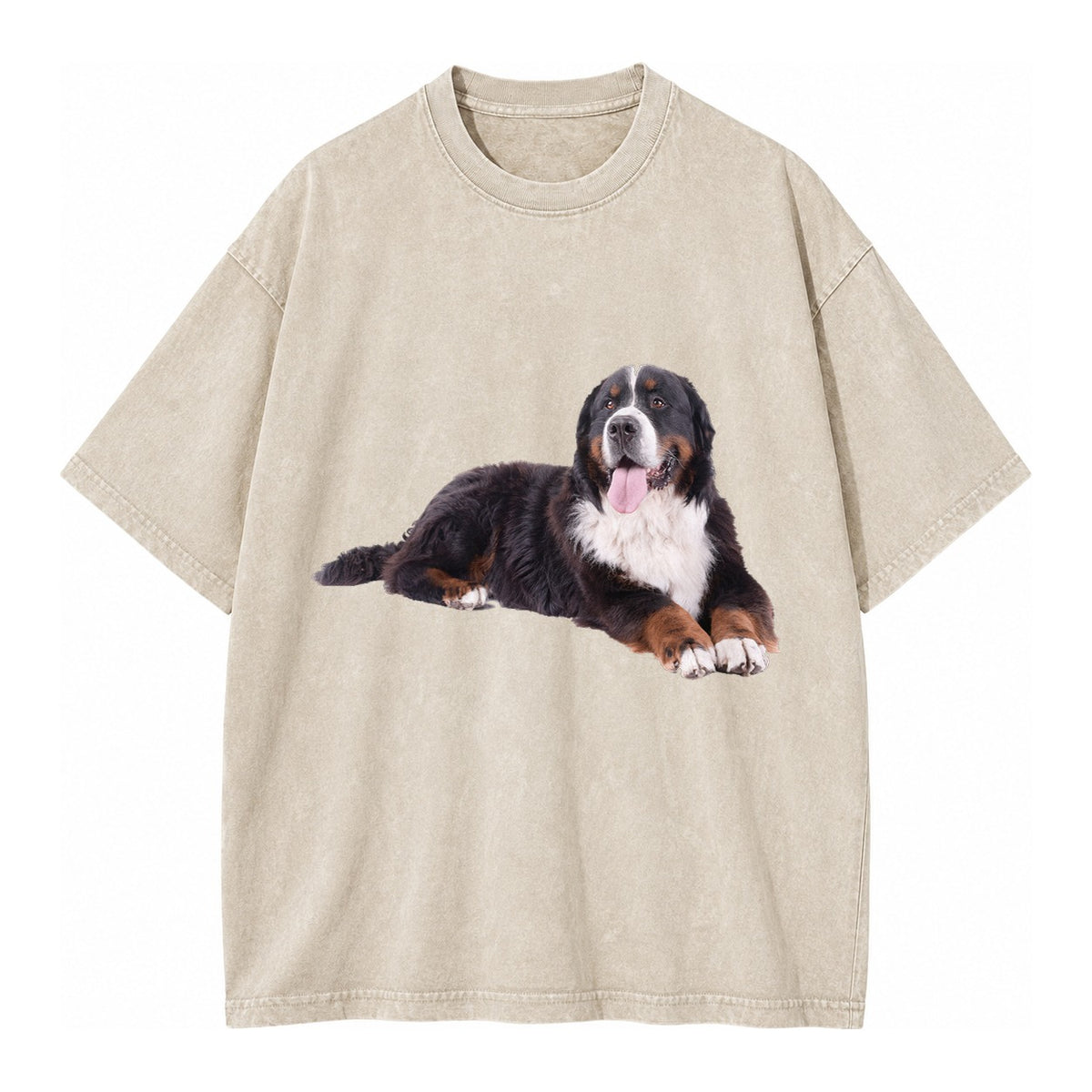 Bernese Mountain Dog Vintage T-shirt – Off White