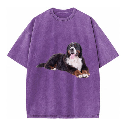 Bernese Mountain Dog Vintage T-shirt – Purple