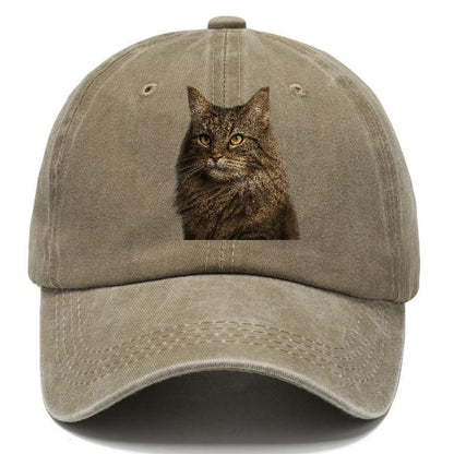 norwegian-forest-cat-wilderness-spirit Hat