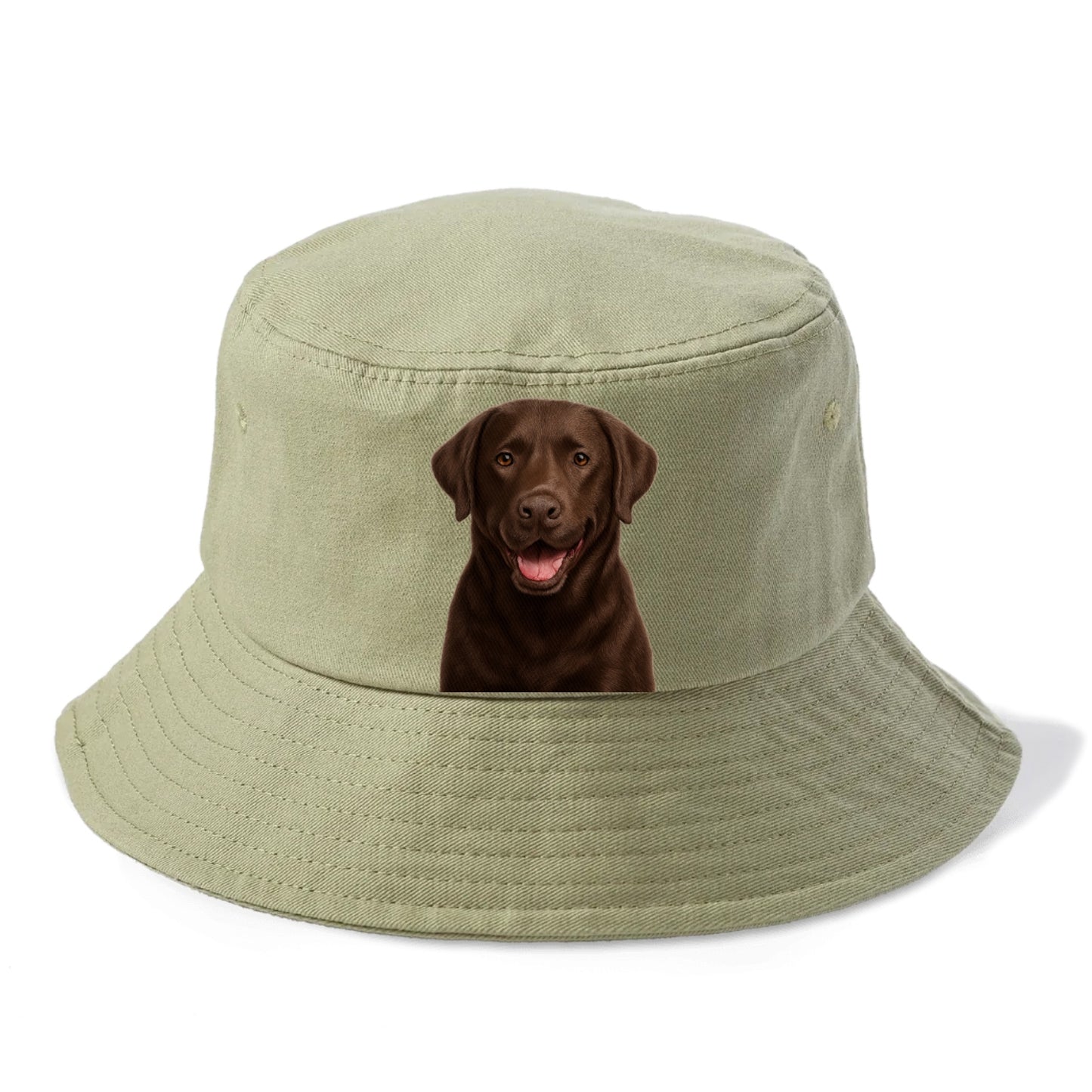 labrador friendly family Hat