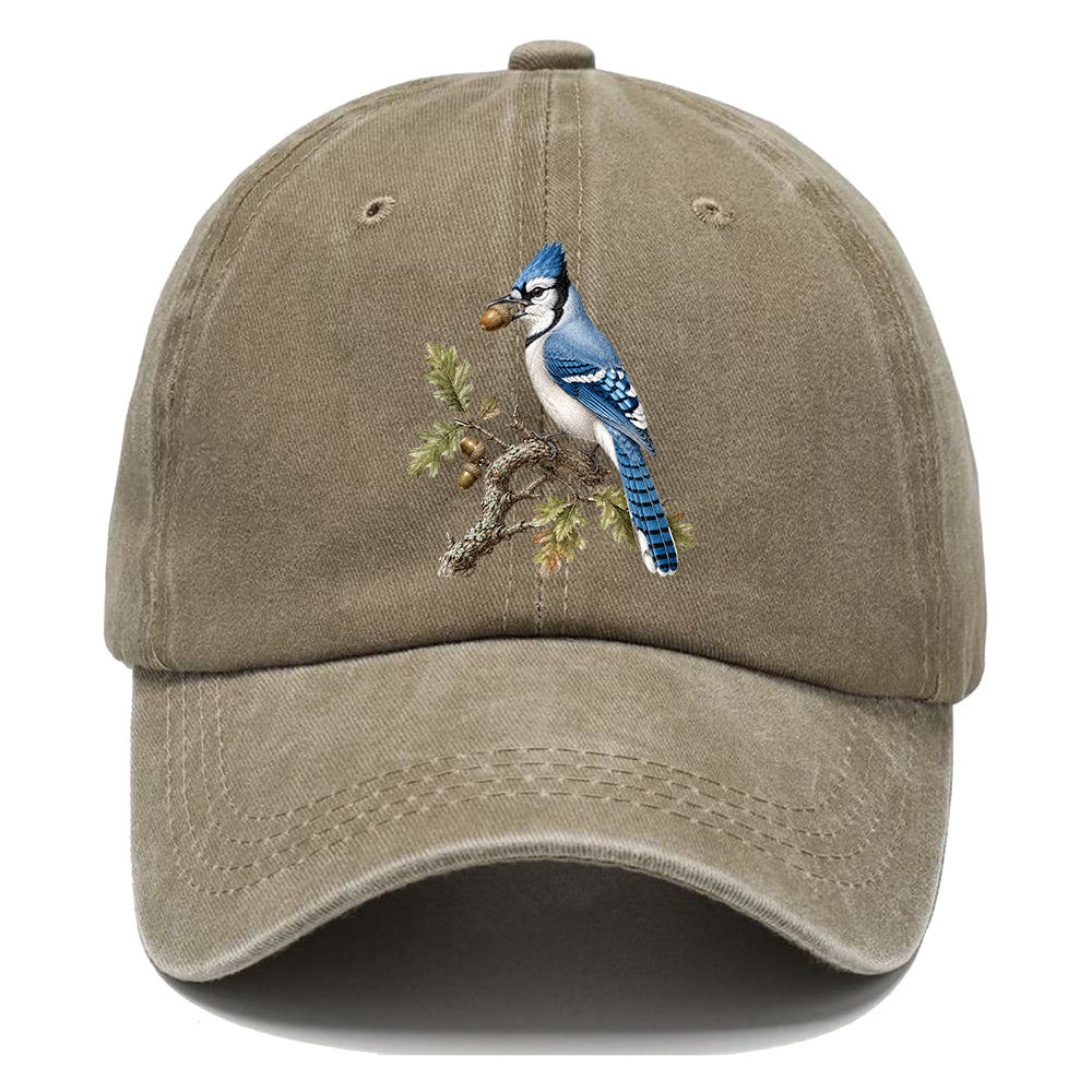 Blue Jay Acorn Classic Cap