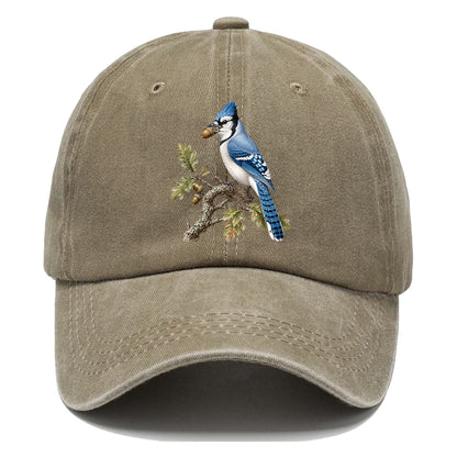 Blue Jay Acorn Classic Cap