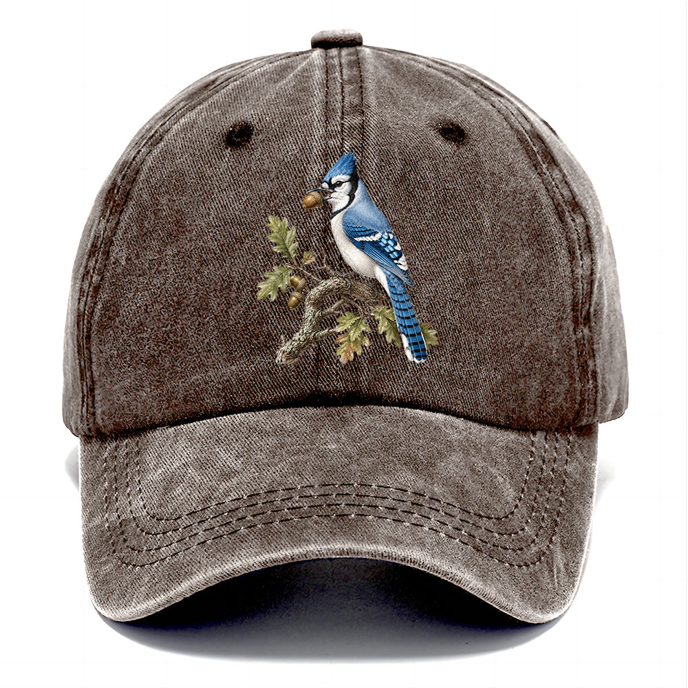 Blue Jay Acorn Classic Cap