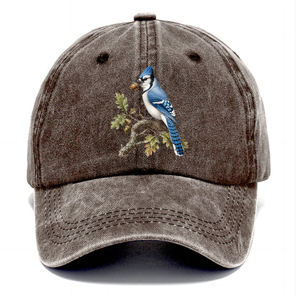 Blue Jay Acorn Classic Cap