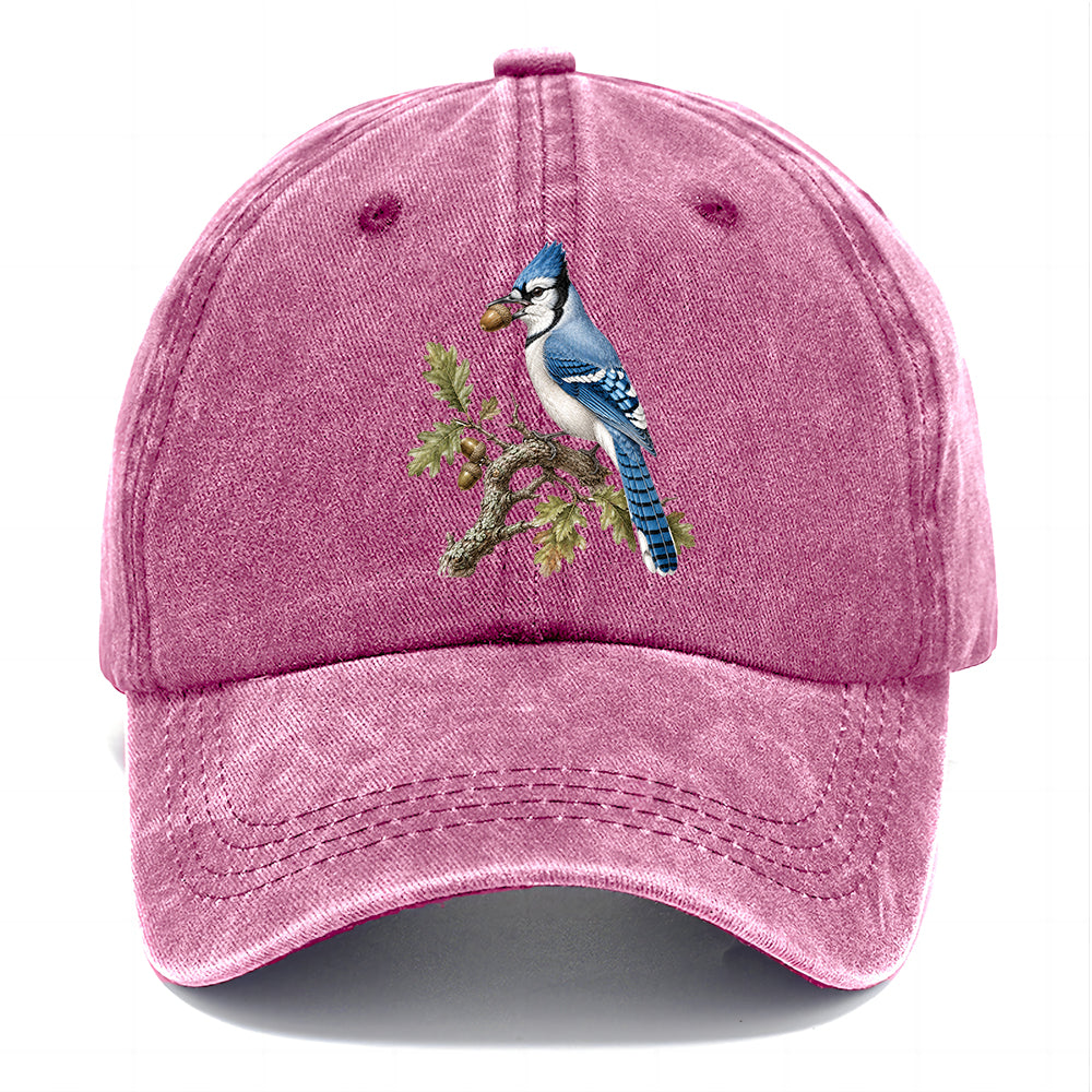 Blue Jay Acorn Classic Cap