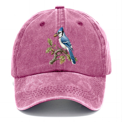 Blue Jay Acorn Classic Cap