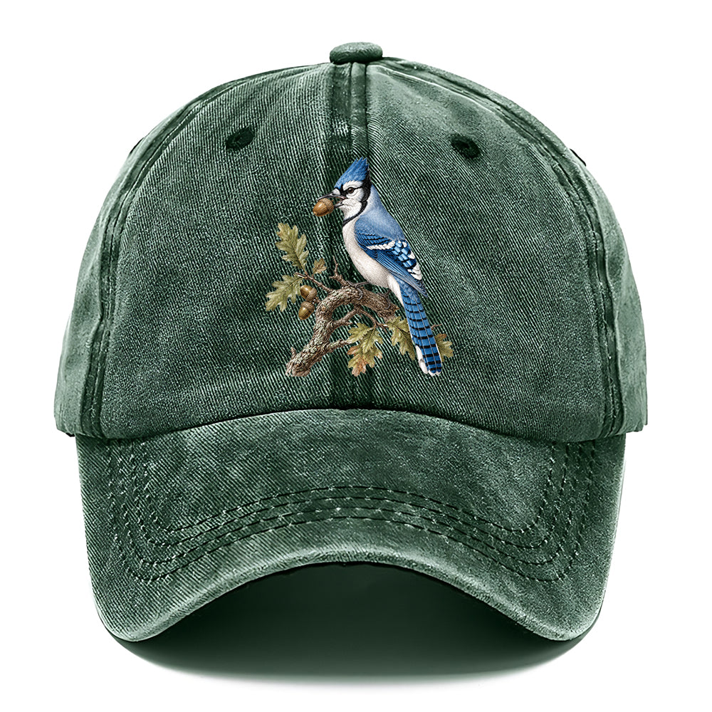Blue Jay Acorn Classic Cap