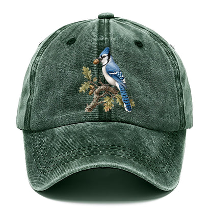 Blue Jay Acorn Classic Cap