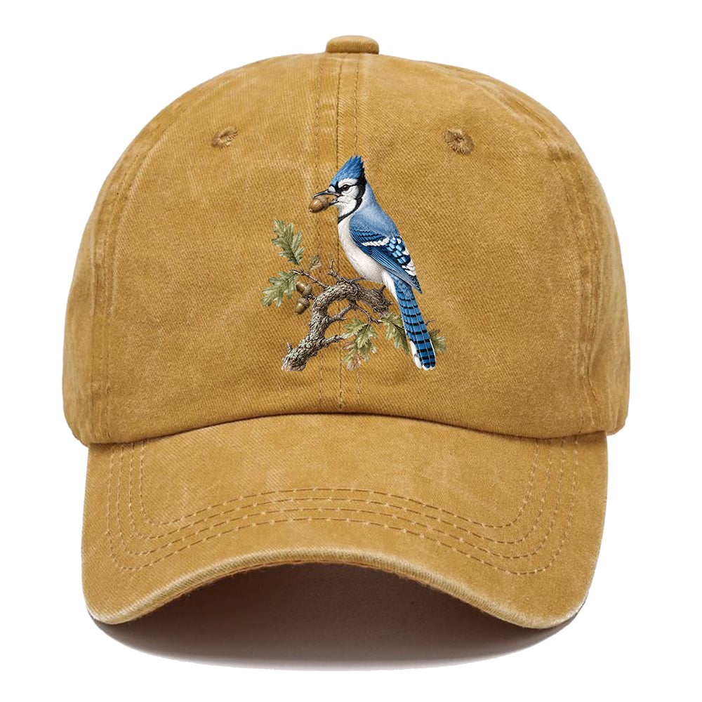 Blue Jay Acorn Classic Cap
