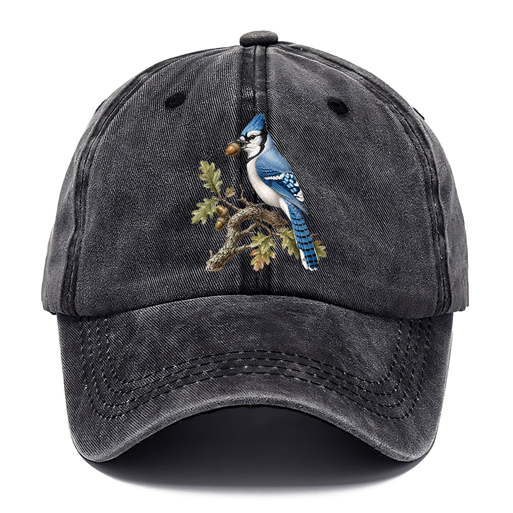 Blue Jay Acorn Classic Cap