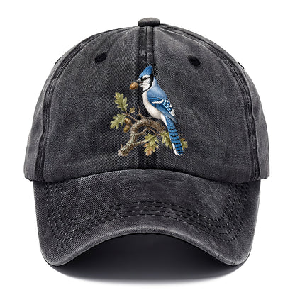 Blue Jay Acorn Classic Cap