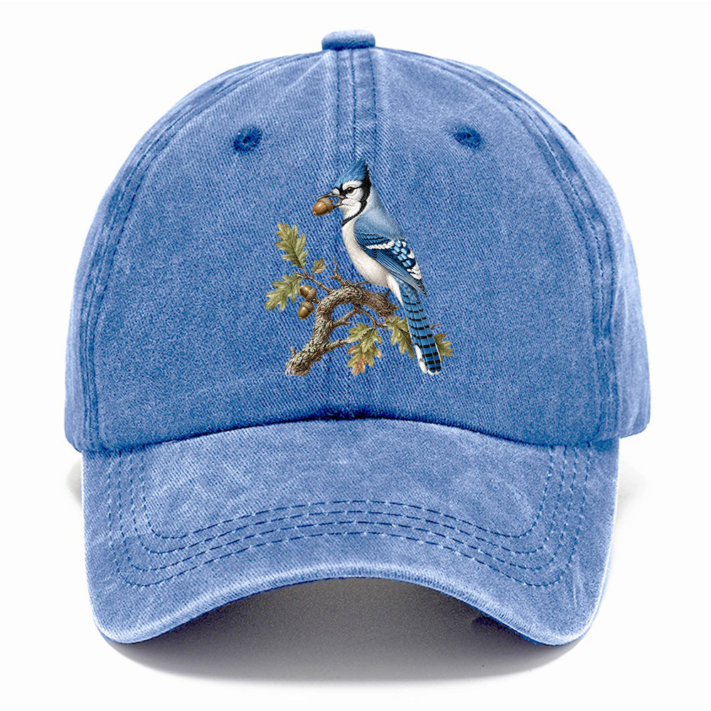Blue Jay Acorn Classic Cap