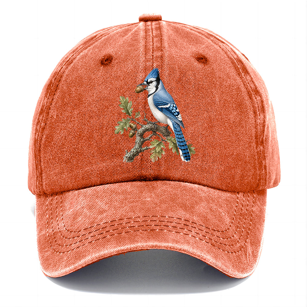 Blue Jay Acorn Classic Cap