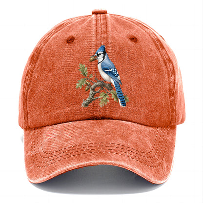 Blue Jay Acorn Classic Cap