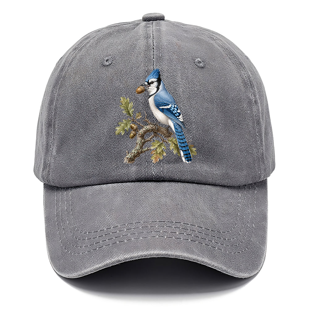Blue Jay Acorn Classic Cap