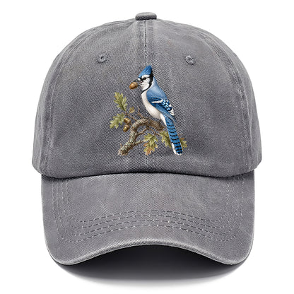 Blue Jay Acorn Classic Cap