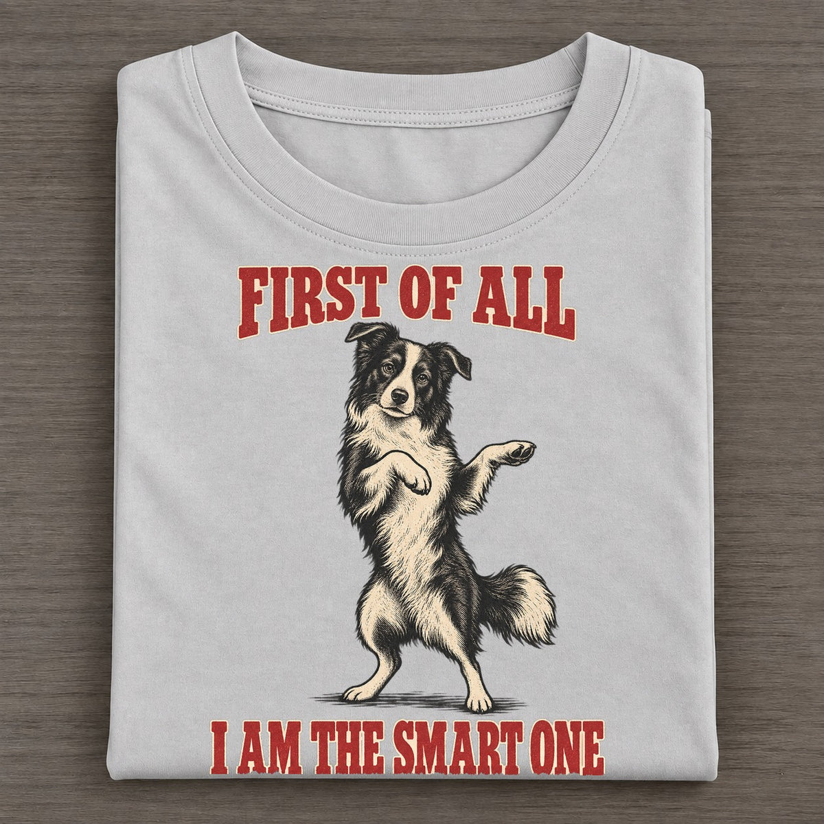 Border Collie Dog Declarations Classic T-shirt – Grey