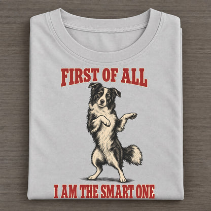 Border Collie Dog Declarations Classic T-shirt – Grey