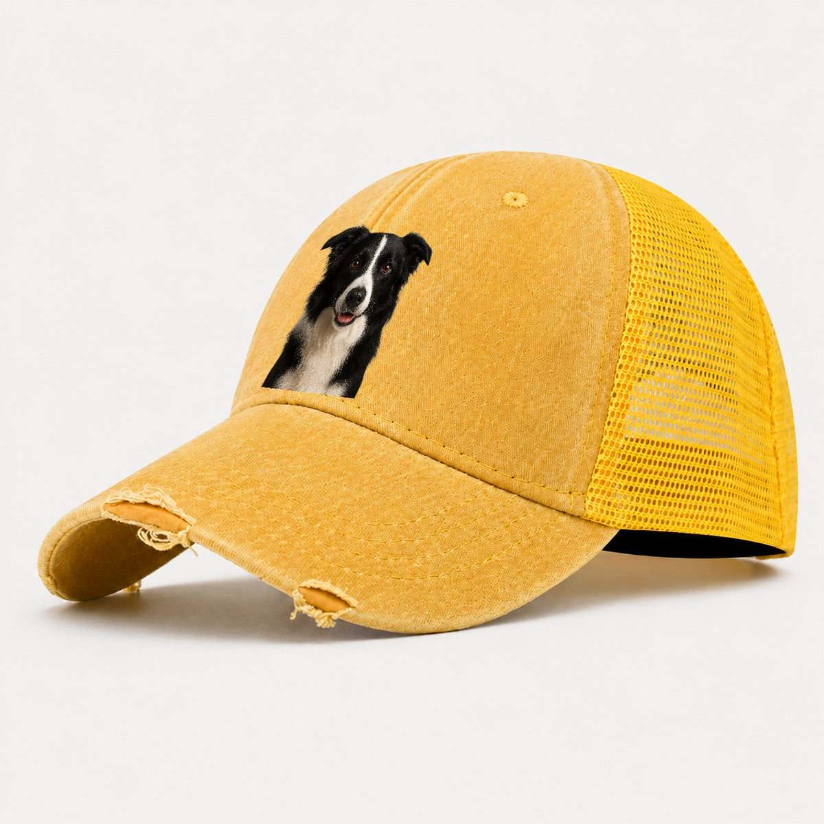 Border Collie Intelligent Companion Washed Trucker Hat – Yellow