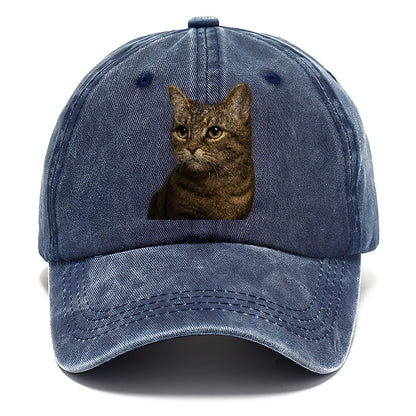 munchkin-cat-charming-spirit Hat