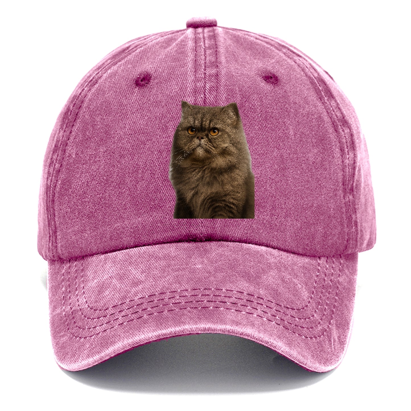 persian-cat-regal-elegance Hat