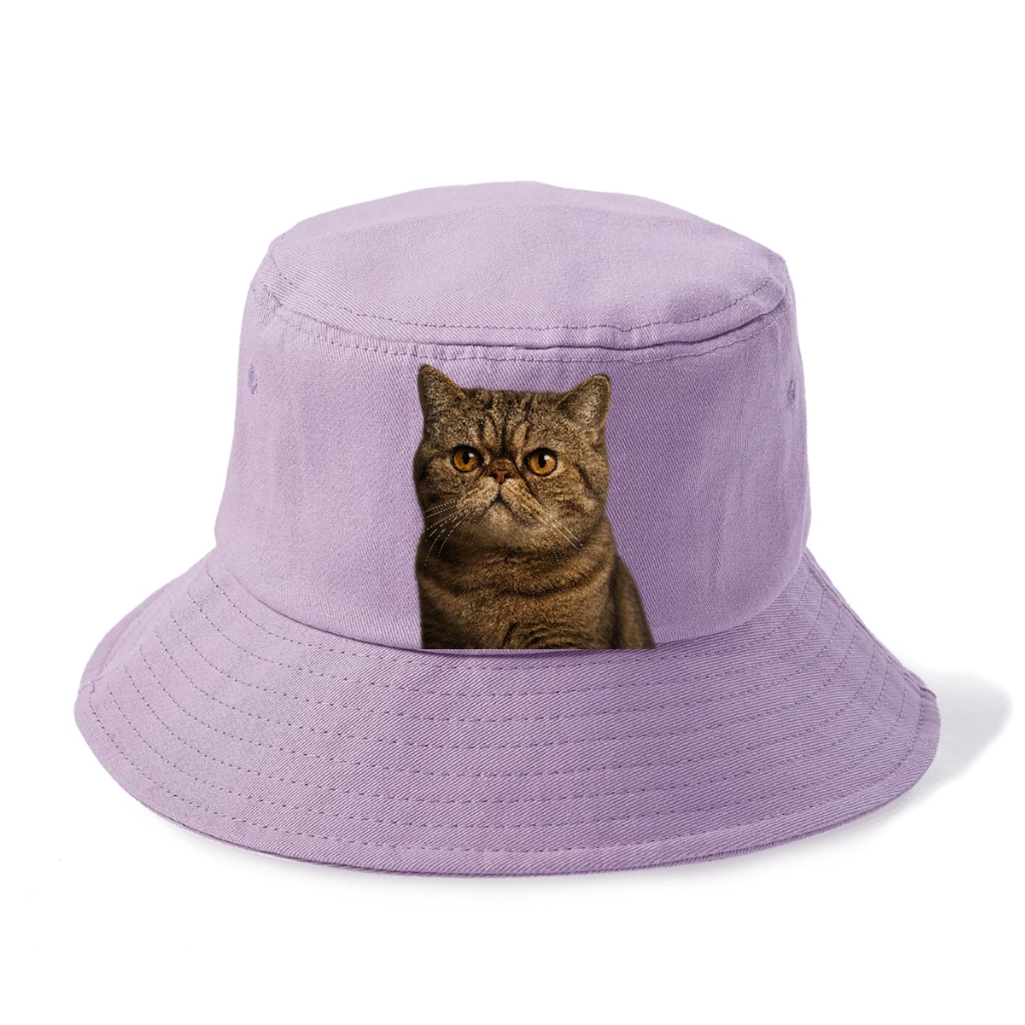 exotic-shorthair-charm Hat