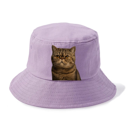 exotic-shorthair-charm Hat