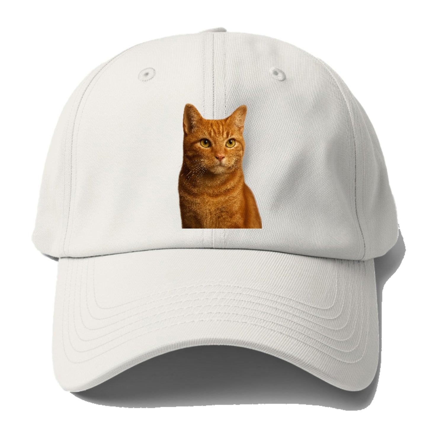 orange-tabby-cozy-companion Hat