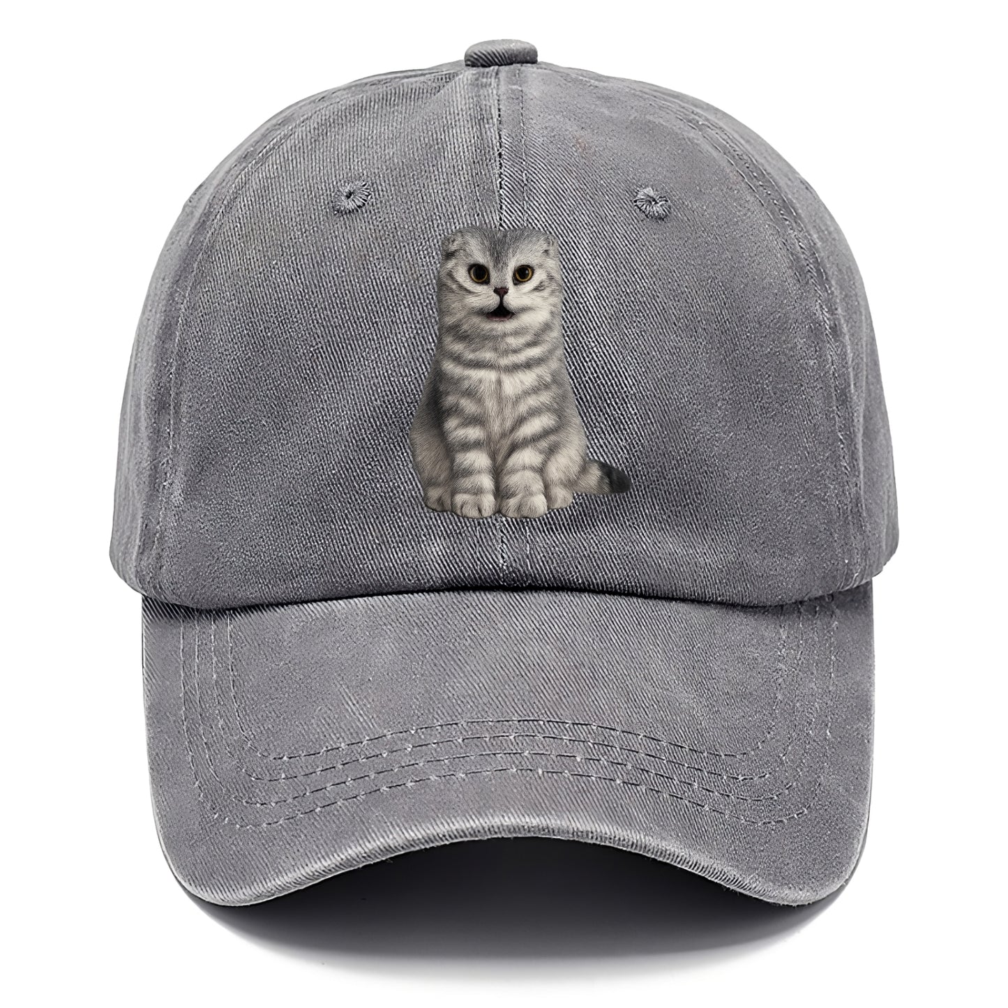 surprised striped cat whimsical portrait Hat