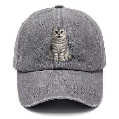 surprised striped cat whimsical portrait Hat