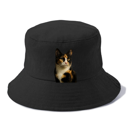 calico-mix-vibrant-spirit Hat