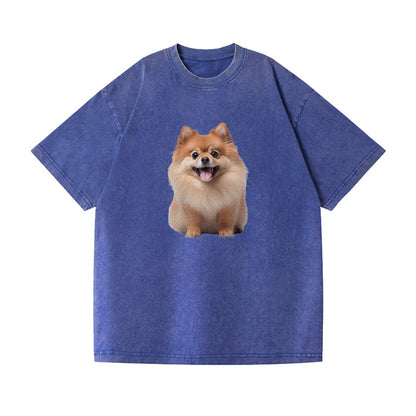 Delighted Pomeranian  Hat