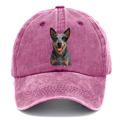 blue heeler agile herder Hat