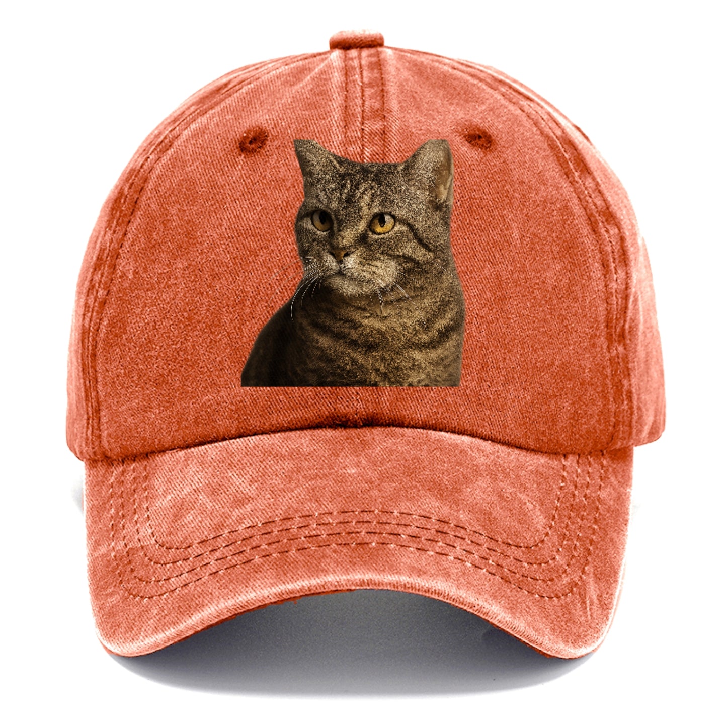 american-wirehair-unique-texture Hat