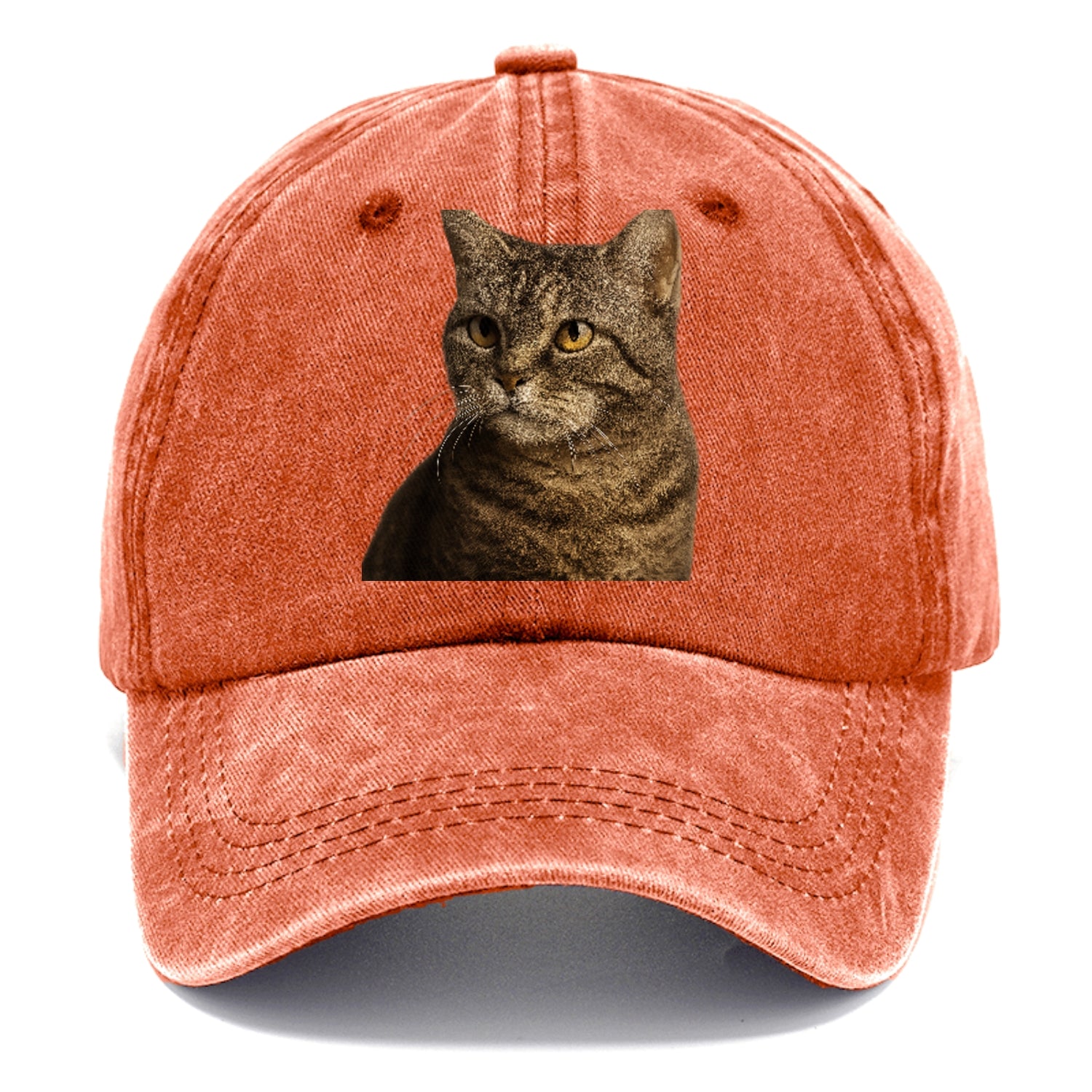 american-wirehair-unique-texture Hat