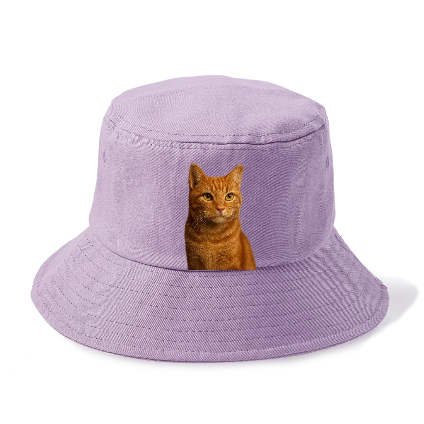 orange-tabby-cozy-companion Hat