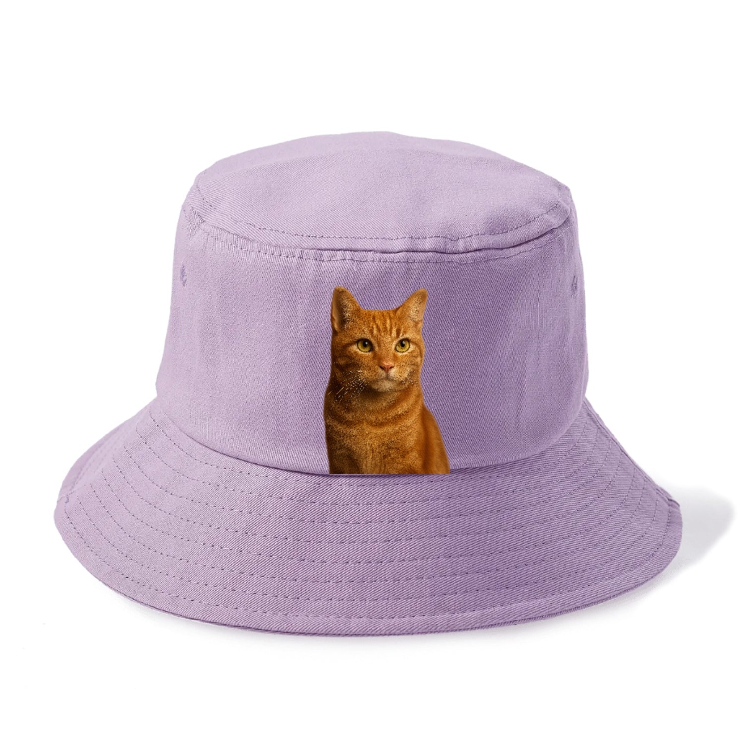 orange-tabby-cozy-companion Hat