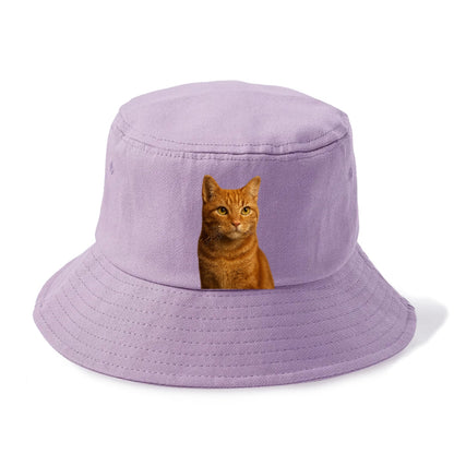 orange-tabby-cozy-companion Hat
